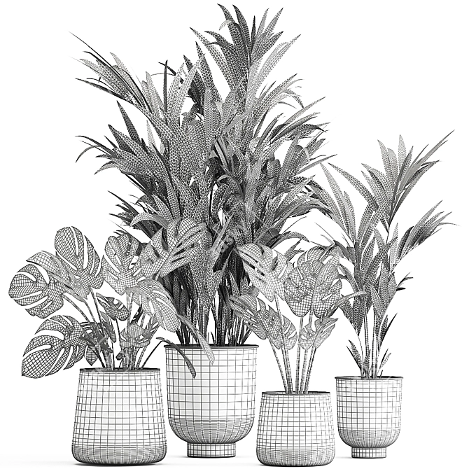 Tropical Plant Collection: Monstera, Palms & Exotics 3D model image 7