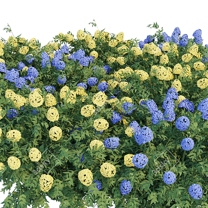 Flowering Bushes Collection Vol. 43: Beautiful and Realistic 3D model image 4