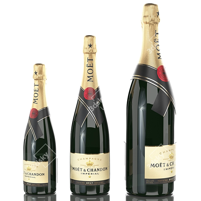 Moët & Chandon Champagne: All Sizes, Premium Quality 3D model image 2