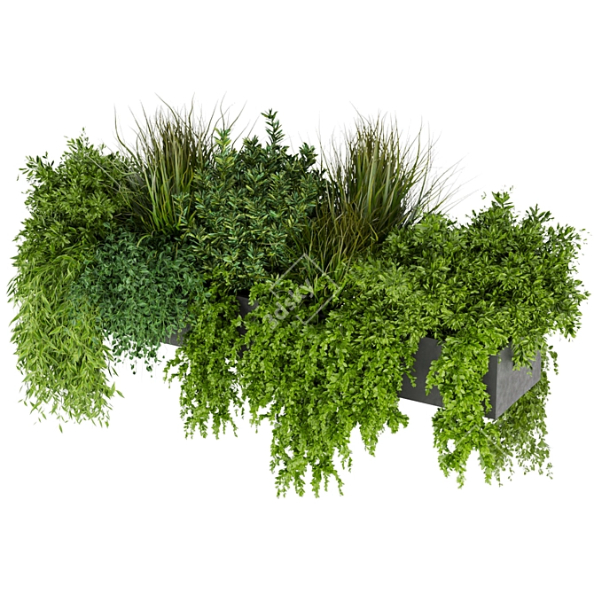 255 Indoor Balcony Ampelous Plant Collection 3D model image 3