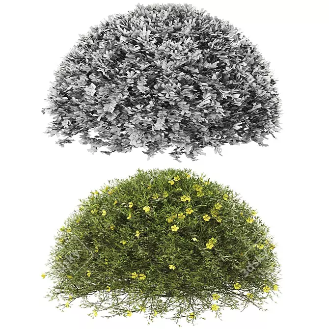 Premium Plant Collection: High Quality & Optimal 3D model image 2