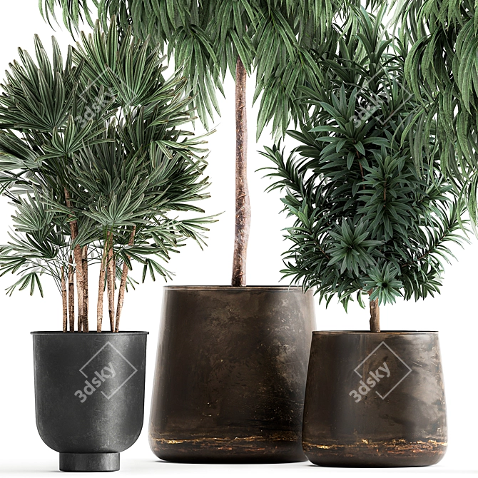 Tropical Plant Collection: Exotic and Stylish 3D model image 2