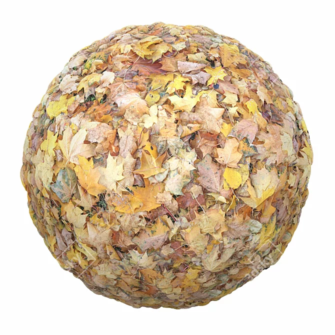 Autumn Leaves Texture Set 3D model image 1