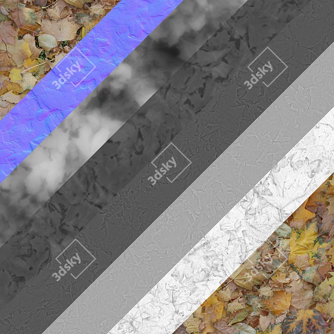 Autumn Leaves Texture Set 3D model image 3