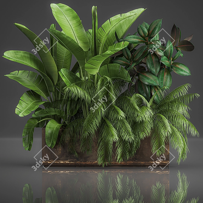 Tropical Plant Assortment in Rustic Metal Pots 3D model image 5