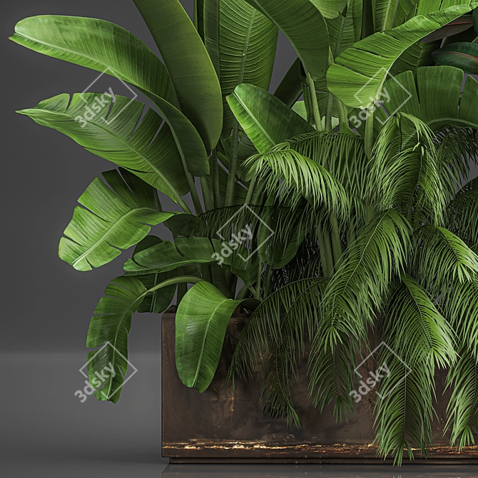 Tropical Plant Assortment in Rustic Metal Pots 3D model image 6