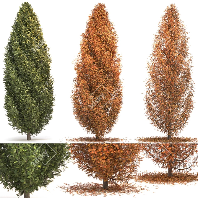 Elegant Cypress Tree Trio 3D model image 1