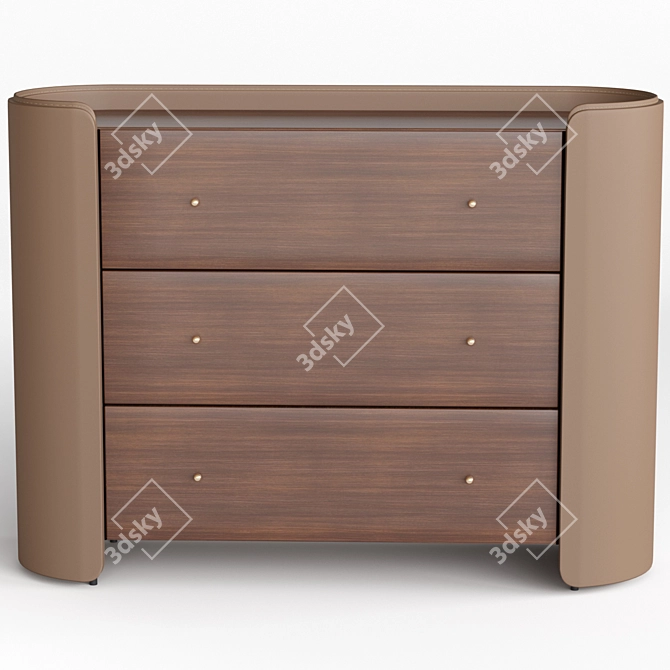Walnut & Leather Chest of Drawers 3D model image 2