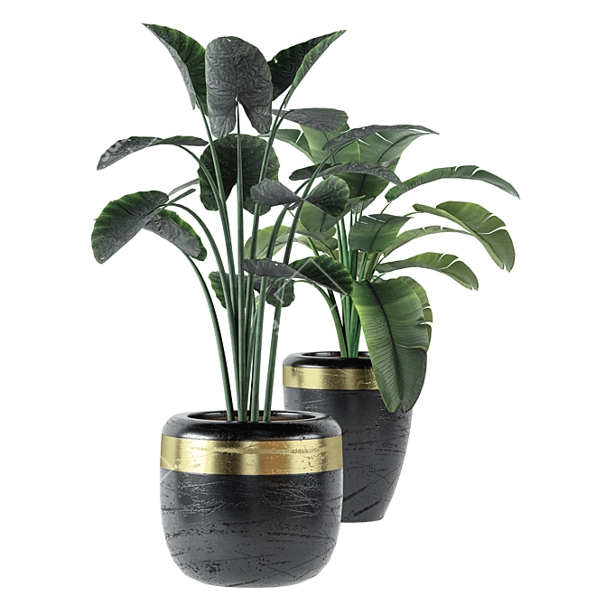 Trendy Black Pot Indoor Plants 3D model image 2