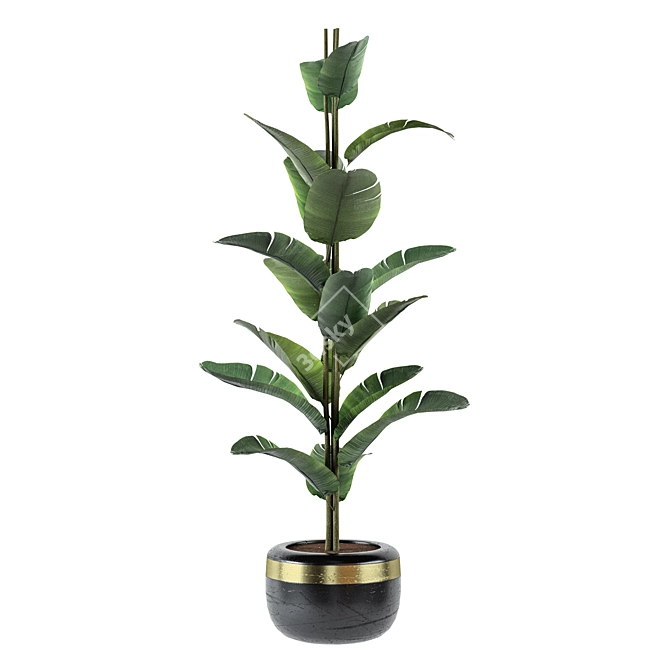 Trendy Black Pot Indoor Plants 3D model image 3