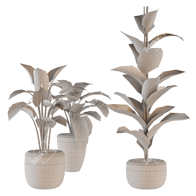 Trendy Black Pot Indoor Plants 3D model image 4