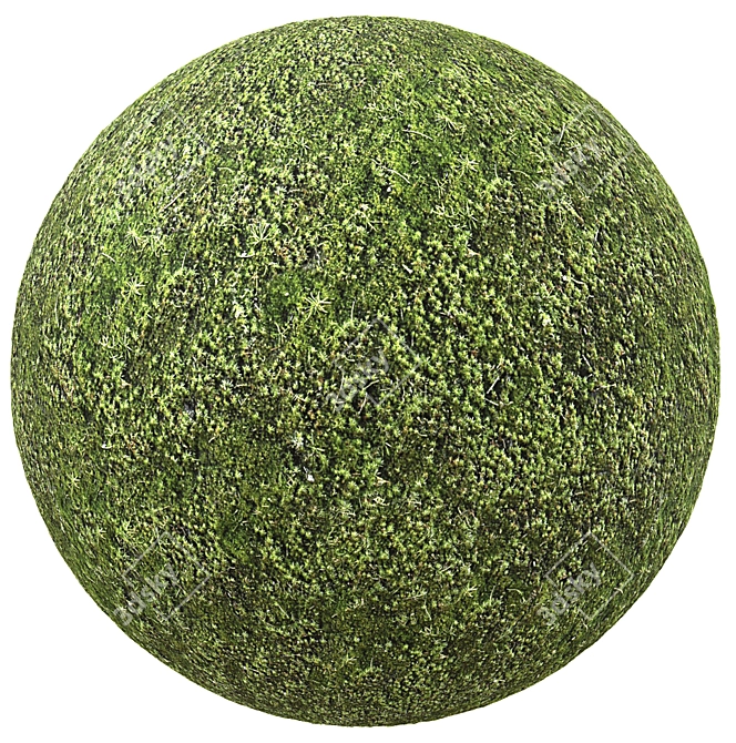 Seamless Moss Texture Bundle 3D model image 1