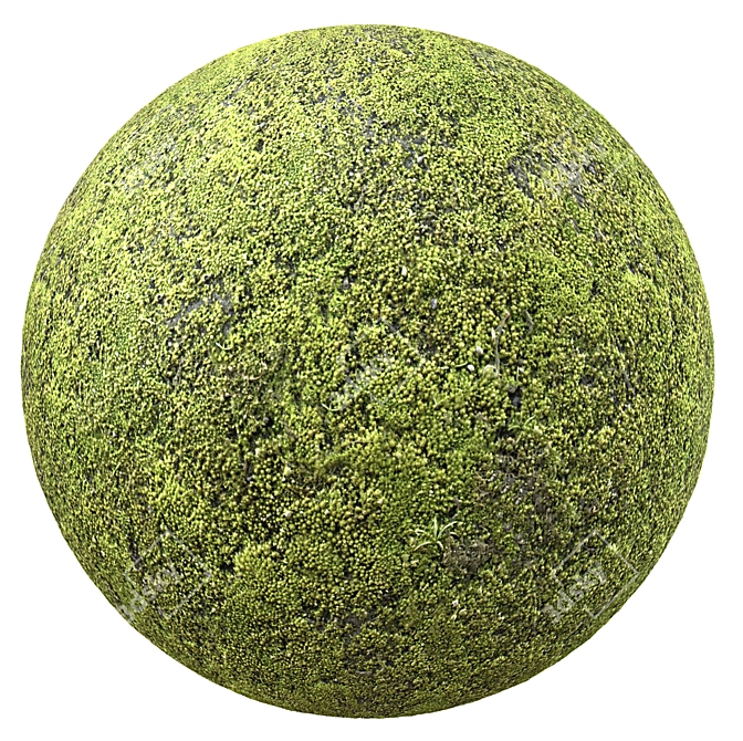 Seamless Moss Texture 3D model image 1