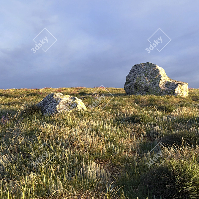 Field Herbs and Grass: High-Quality 3D Models 3D model image 2