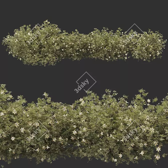 Premium Quality Bush Plant 3D model image 1