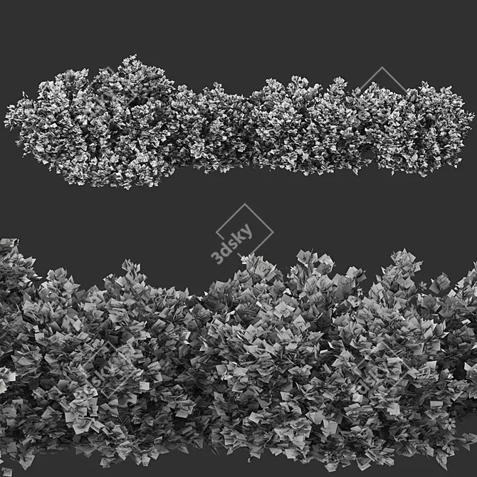 Premium Quality Bush Plant 3D model image 2
