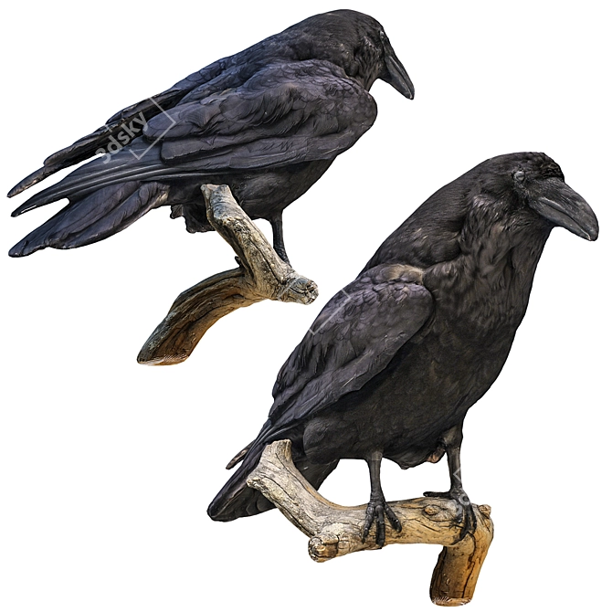 3D Crow Sculpture | 11,554 Polygons 3D model image 1