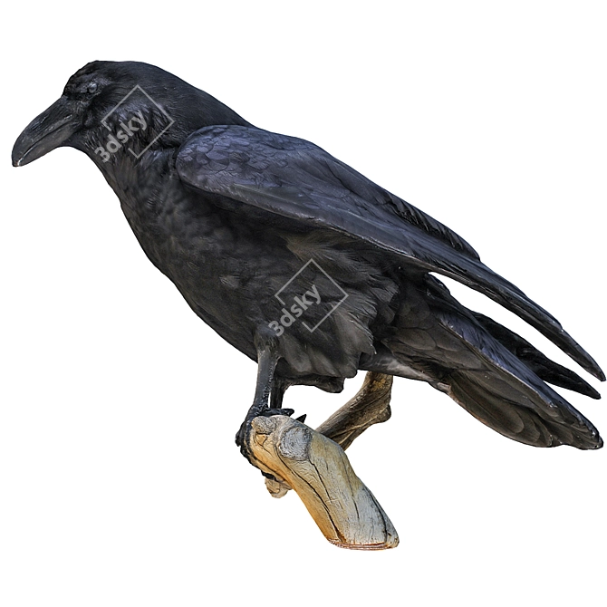 3D Crow Sculpture | 11,554 Polygons 3D model image 4