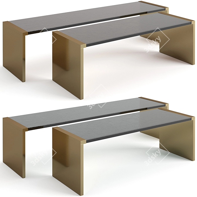 Elegant Baxter Trust Coffee Tables 3D model image 1