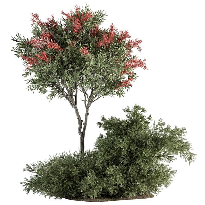 Spectacular Red Crape Myrtle Set 3D model image 1