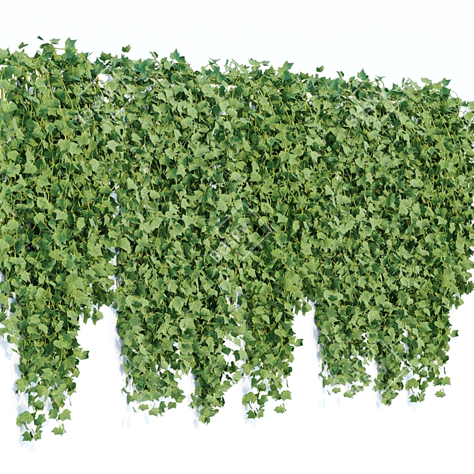 Natural Green Hanging Ivy Collection 3D model image 2