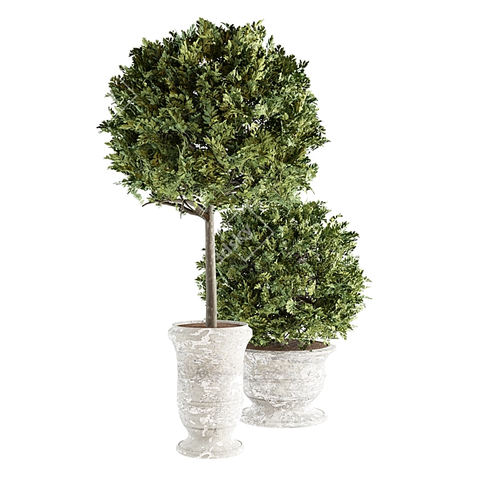 Concrete Pot Outdoor Plants 3D model image 2