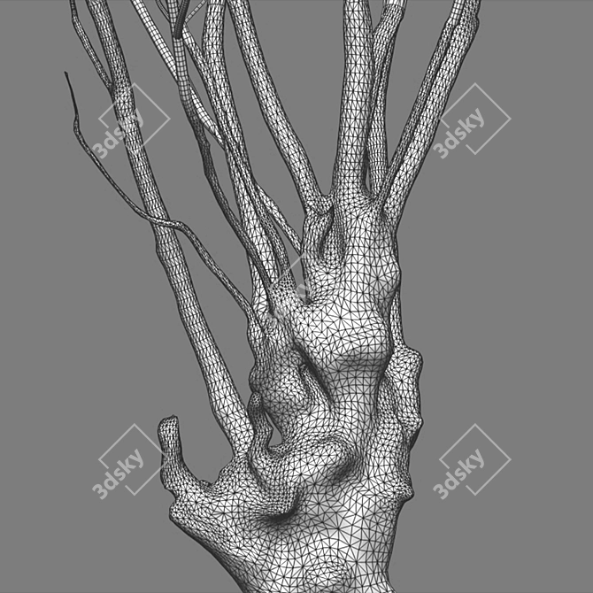 Green Barringtonia Tree Model 3D model image 6
