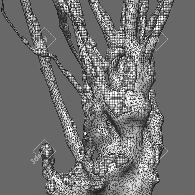 Title: Winter Snow - Barringtonia Acutangula 3D model image 5