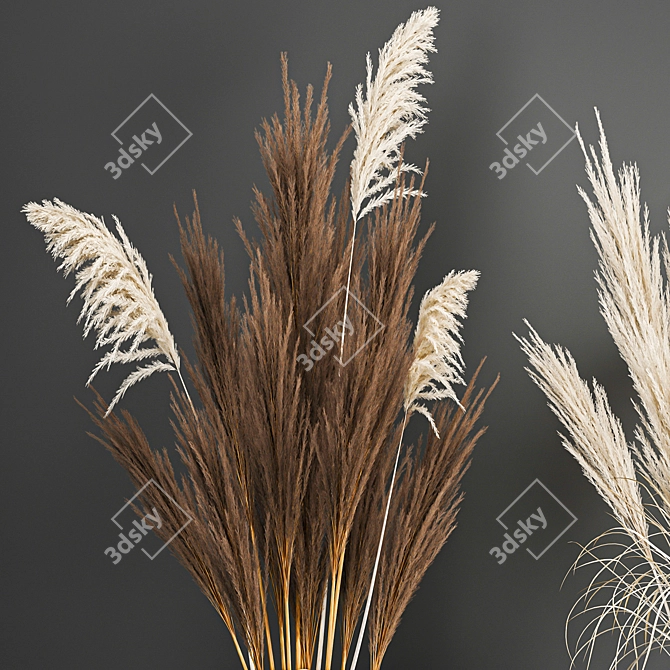 White Reed Bouquet in Vase 3D model image 4