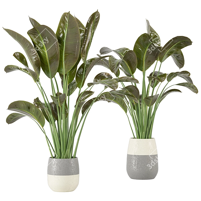 Indoor Greenery Collection - Set 113 3D model image 1