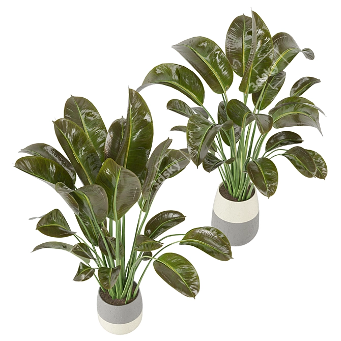 Indoor Greenery Collection - Set 113 3D model image 2