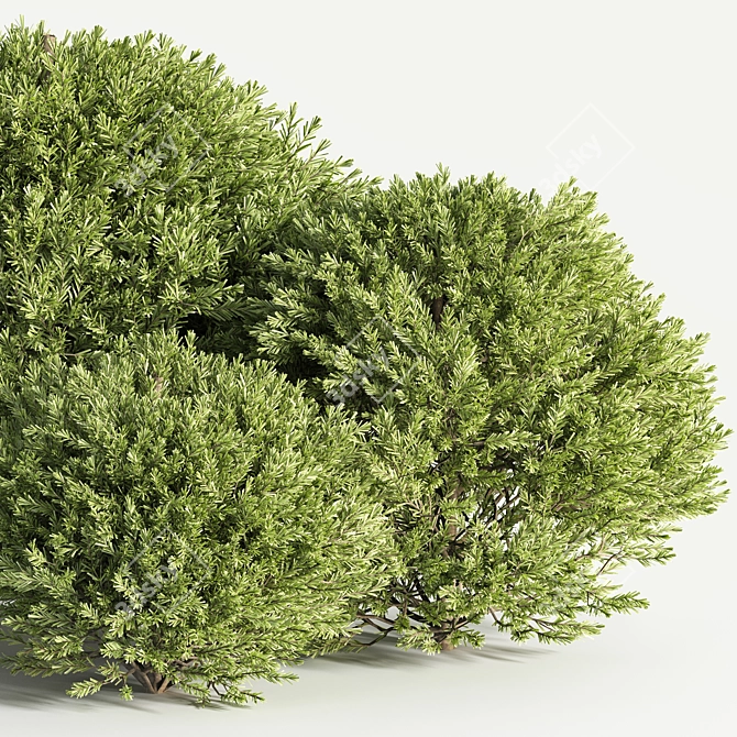 Stylish Push08 Corona Object 3D model image 2