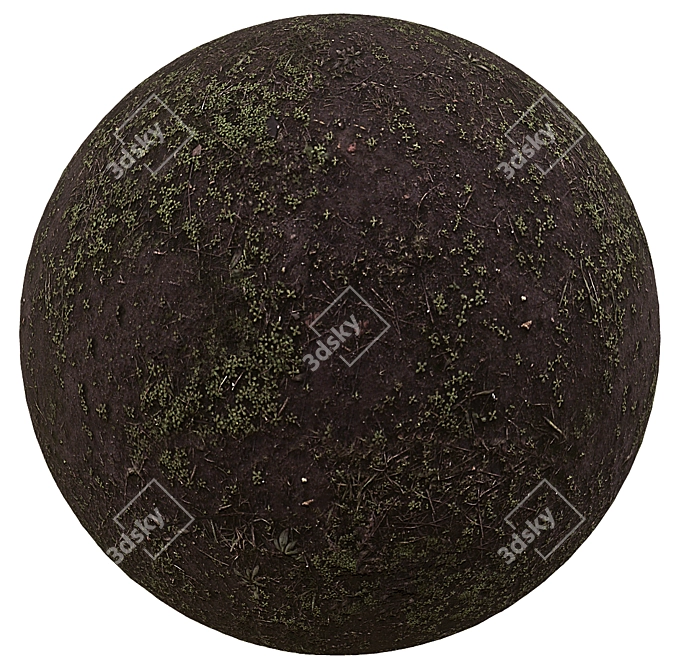 Seamless 4K Earth & Grass Texture 3D model image 1