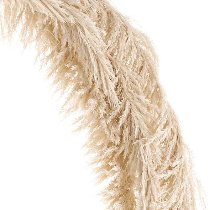 Rustic Reed Arch & Pampas Grass Decor 3D model image 2