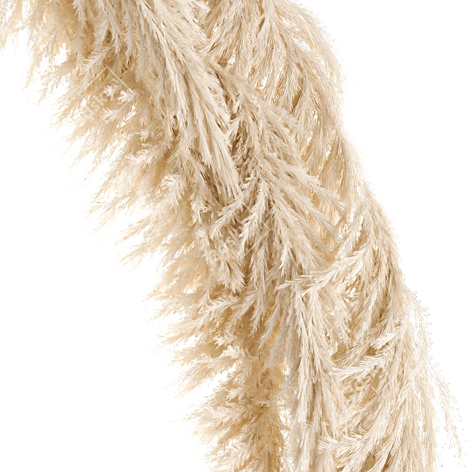 Rustic Reed Arch & Pampas Grass Decor 3D model image 6
