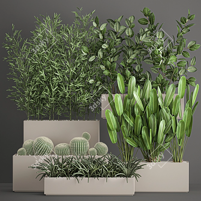 Exotic Plant Collection: Tropical Palms, Cacti, and Bamboo 3D model image 1