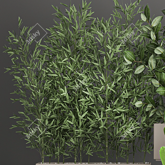 Exotic Plant Collection: Tropical Palms, Cacti, and Bamboo 3D model image 4