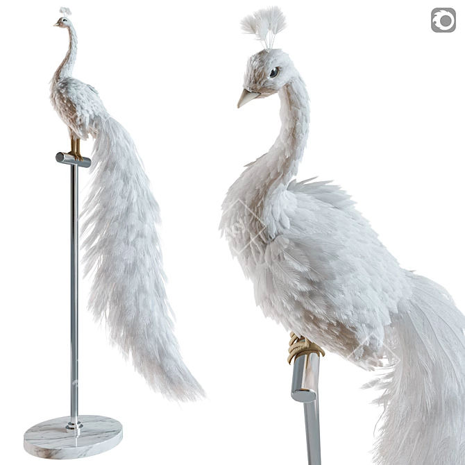 Elegant White Peacock Decoration 3D model image 11