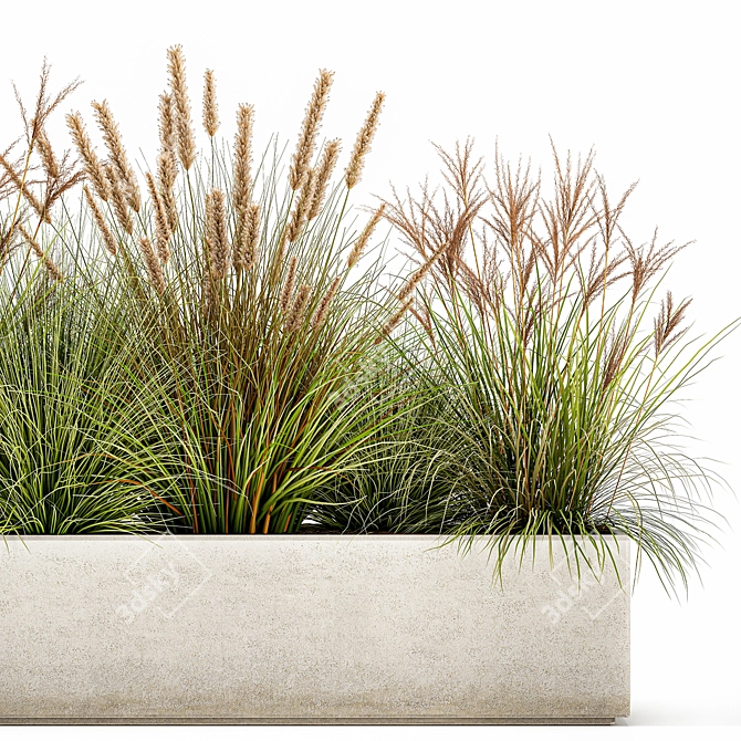 Tropical Oasis: Concrete Planter with Exotic Plant Collection 3D model image 5