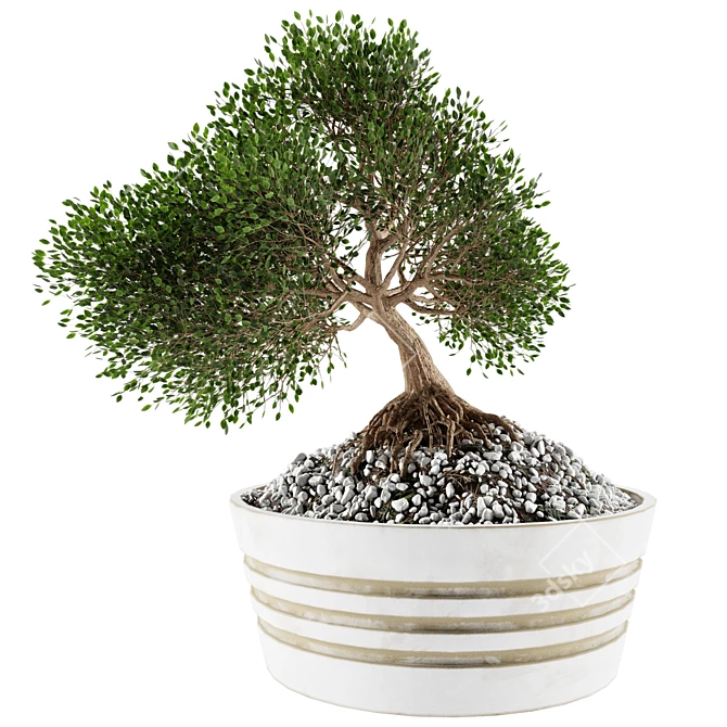 Mini Bonsai Tree - Vol. 3 3D model image 2