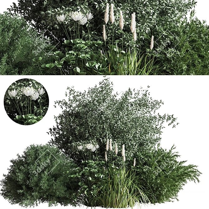 Premium Bush04 2015 Model: Vray/Corona Compatible 3D model image 1