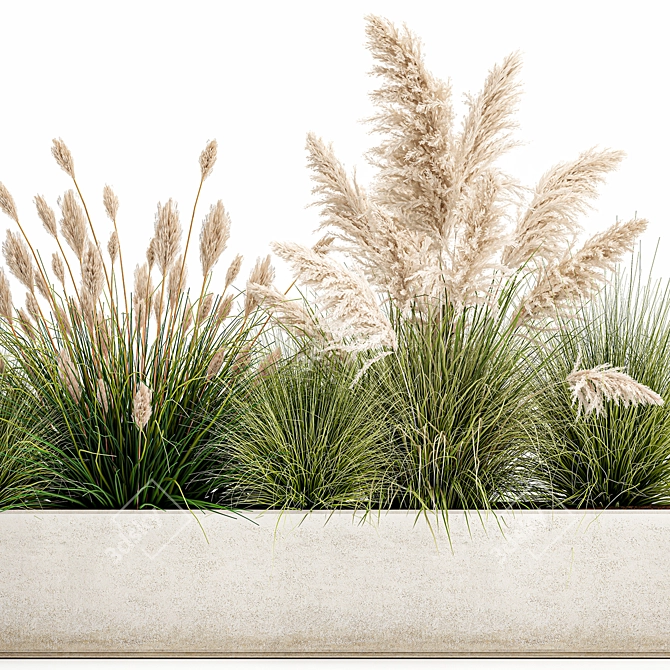 Exotic Plant Assortment: Indoor & Outdoor Ornamentals 3D model image 4