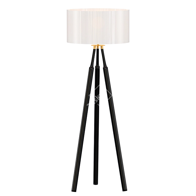 Elegant Coen Floor Lamp 3D model image 1