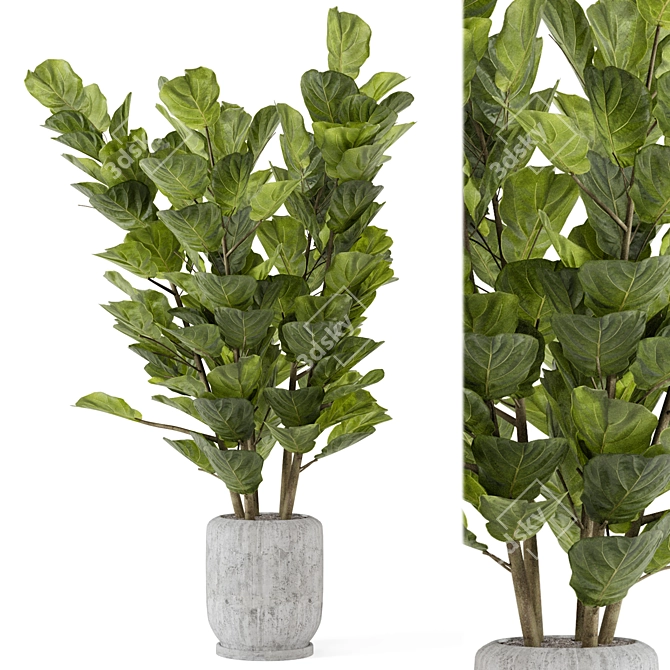Rusty Concrete Pot Indoor Plant Set 3D model image 1