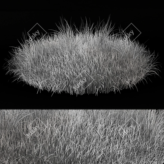 Outdoor Bush Set 343 - 3D Plant Models 3D model image 5