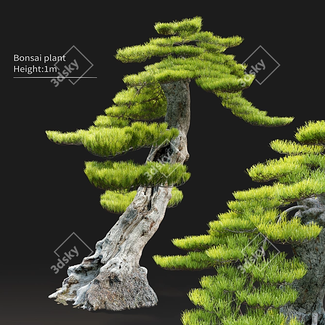 Exquisite Bonsai Tree: 1.2m Tall 3D model image 1