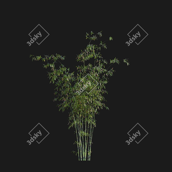 Bamboo 3D Models - Variety of Formats and Textures 3D model image 2