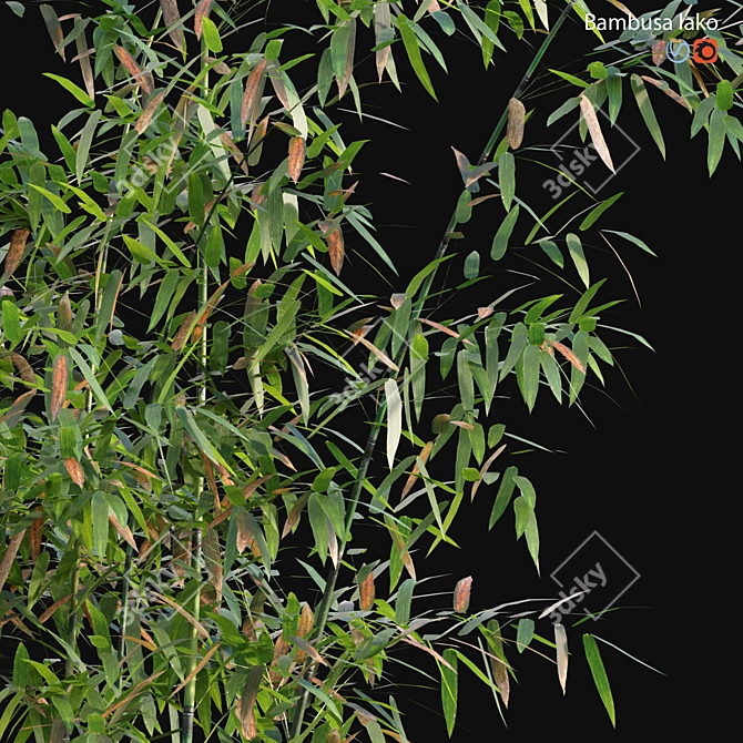 Bamboo Archive - 3D Models & Textures 3D model image 2