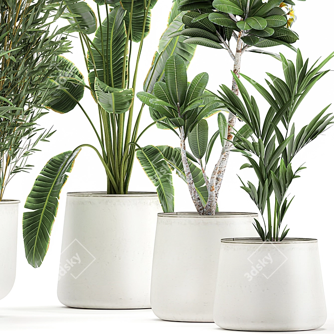 Exotic Plant Collection in White Planters 3D model image 2