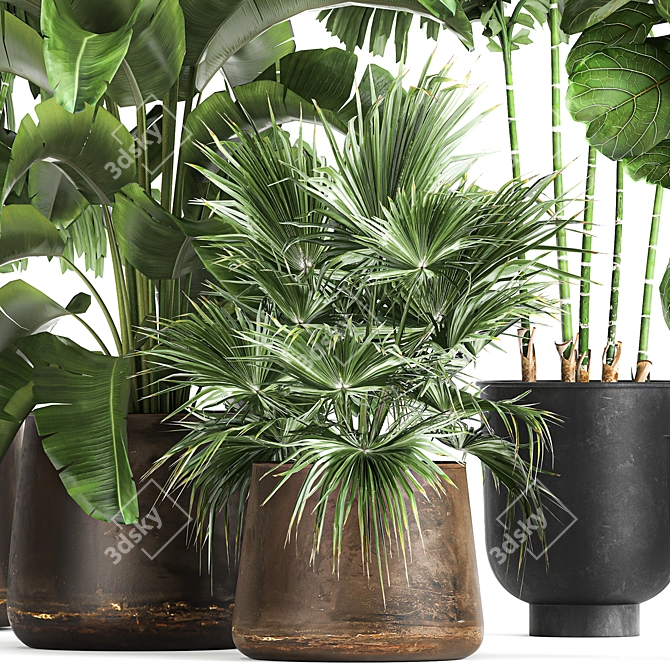 Tropical Plant Collection in Rustic Metal Pots 3D model image 3